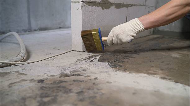 Top rated local Wet Basement Repair specialists in Nickerson, KS